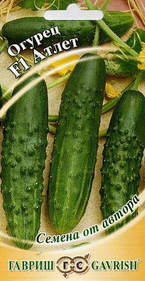 Огурец Атлет F1 (гавриш) 10шт – купить в г. Волгоград Огурец Атлет F1 (гавриш) 10шт – купить в г. Волгоград