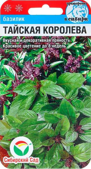 Базилик Тайская королева (сс) 0,5гр  – купить в г. Волгоград