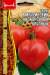 Томат Минусинский низкорослый крупный (Григорьев) 10 шт  – купить в г. Волгоград