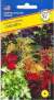 Колеус Забава смесь (престиж) 10 шт  – купить в г. Волгоград