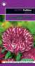 Астра Риббон красная (гавриш) 0,1гр  – купить в г. Волгоград