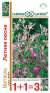 Маттиола Летняя песня (1+1=3) (гавриш) 0,6 гр  – купить в г. Волгоград