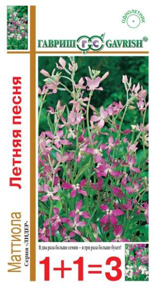 Маттиола Летняя песня (1+1=3) (гавриш) 0,6 гр – купить в г. Волгоград Маттиола Летняя песня (1+1=3) (гавриш) 0,6 гр – купить в г. Волгоград