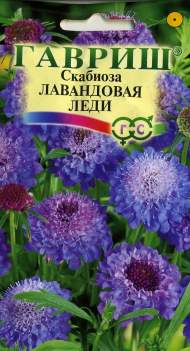 Скабиоза Лавандовая леди (гавриш) 0,2 гр