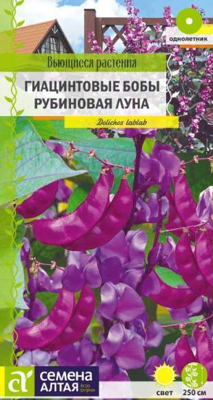 Гиацинтовые бобы Рубиновая луна (семена Алтая) 1,0 гр  – купить в г. Волгоград