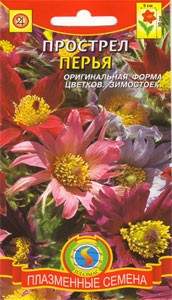 Прострел Перья смесь (плазмас) 10шт