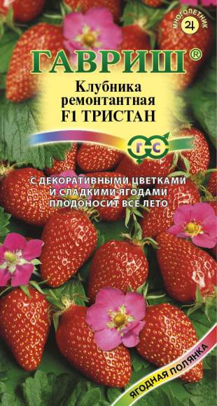 Клубника Тристан F1 (гавриш) 5 шт – купить в г. Волгоград Клубника Тристан F1 (гавриш) 5 шт – купить в г. Волгоград