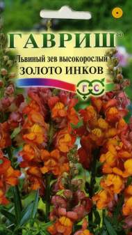 Антирринум (львиный зев) Золото инков (гавриш) 0,1гр Антирринум (львиный зев) Золото инков (гавриш) 0,1гр