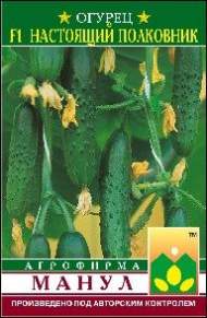Огурец Настоящий полковник F1 (манул) 10 шт