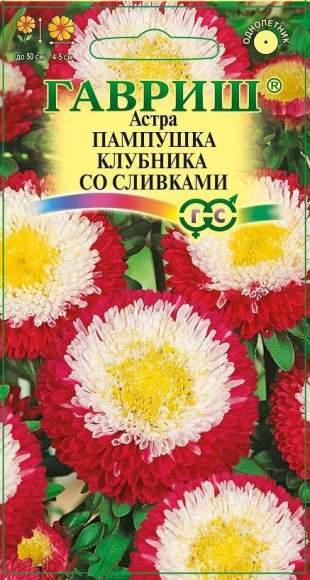Астра Пампушка клубника со сливками (гавриш) 0,3гр – купить в г. Волгоград Астра Пампушка клубника со сливками (гавриш) 0,3гр – купить в г. Волгоград