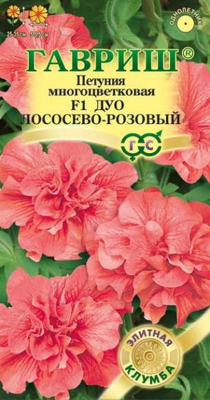 Петуния Дуо лососево-розовый F1 (гавриш) 5шт – купить в г. Волгоград Петуния Дуо лососево-розовый F1 (гавриш) 5шт – купить в г. Волгоград