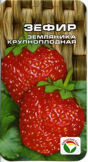 Земляника крупноплодная Зефир (сибирский сад) 10 шт – купить в г. Волгоград Земляника крупноплодная Зефир (сибирский сад) 10 шт – купить в г. Волгоград