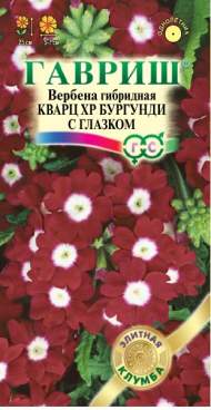 Вербена Кварц хр бургунди с глазком (гавриш) 4 шт