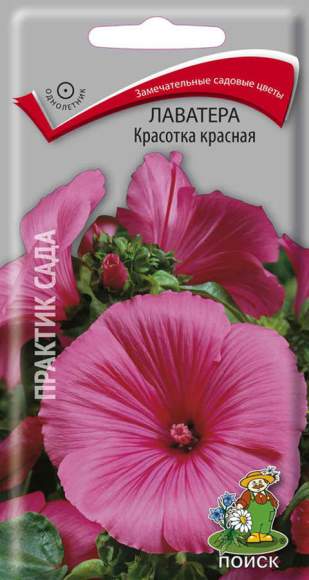 Лаватера Красотка красная (поиск) 0,3гр   – купить в г. Волгоград