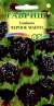 Скабиоза Черное манто (гавриш) 0,2гр  – купить в г. Волгоград