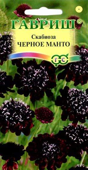Скабиоза Черное манто (гавриш) 0,2гр  – купить в г. Волгоград