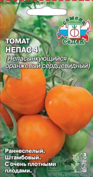 Томат Непас 4 оранжевый сердцевидный (седек) 0,1 гр  – купить в г. Волгоград