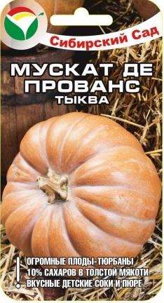 Тыква Мускат де Прованс (сибирский сад) 5 шт – купить в г. Волгоград Тыква Мускат де Прованс (сибирский сад) 5 шт – купить в г. Волгоград