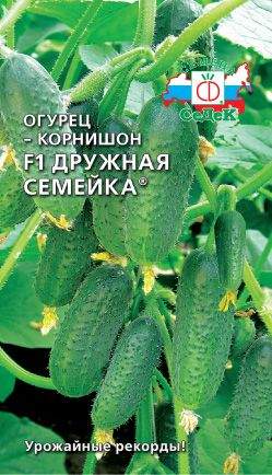 Огурец Дружная семейка F1 (седек) 0,2гр  – купить в г. Волгоград