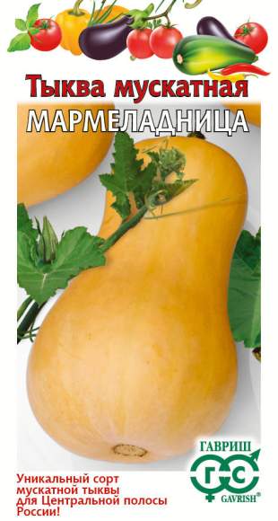 Тыква мускатная Мармеладница (гавриш) 2,0гр  – купить в г. Волгоград