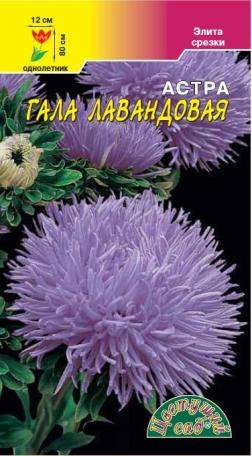 Астра Гала лавандовая (цветущий сад) 0,1 гр  – купить в г. Волгоград