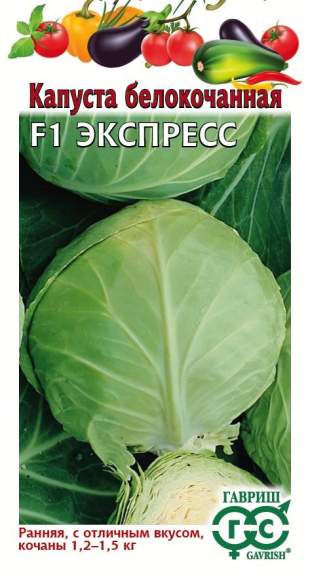 Капуста б/к Экспресс F1 (г) 10шт – купить в г. Волгоград Капуста б/к Экспресс F1 (г) 10шт – купить в г. Волгоград
