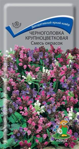 Черноголовка Крупноцветковая смесь (прунелла) (поиск) 25шт  – купить в г. Волгоград