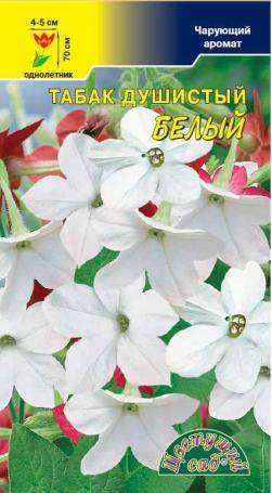 Душистый декоративный табак Белый (цветущий сад) 0,1 гр  – купить в г. Волгоград