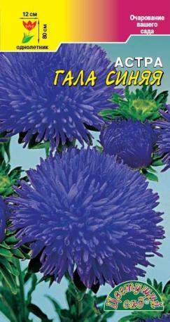 Астра Гала синяя (цветущий сад) 0,1 гр  – купить в г. Волгоград