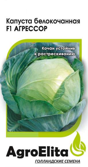 Капуста б/к Агрессор F1 (агроэлита) 10шт  – купить в г. Волгоград