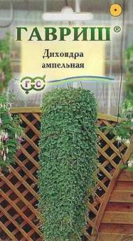 Дихондра Ампельная (гавриш) 4 шт