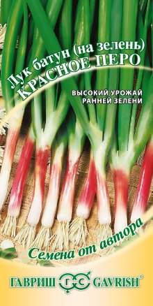 Лук батун на зелень Красное перо (гавриш) 0,5 гр – купить в г. Волгоград Лук батун на зелень Красное перо (гавриш) 0,5 гр – купить в г. Волгоград