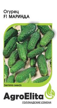 Огурец Маринда F1 (агроэлита) 5шт (seminis) Огурец Маринда F1 (агроэлита) 5шт (seminis)