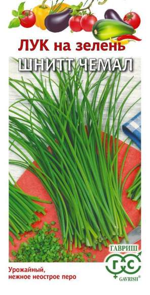 Лук шнитт на зелень Чемал (гавриш) 0,5 гр – купить в г. Волгоград Лук шнитт на зелень Чемал (гавриш) 0,5 гр – купить в г. Волгоград