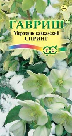 Морозник кавказский Спринг (гавриш) 0,1гр Морозник кавказский Спринг (гавриш) 0,1гр