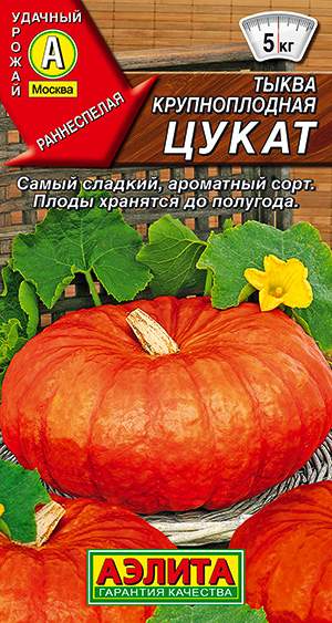 Тыква Цукат (аэлита) 1,0 гр – купить в г. Волгоград Тыква Цукат (аэлита) 1,0 гр – купить в г. Волгоград
