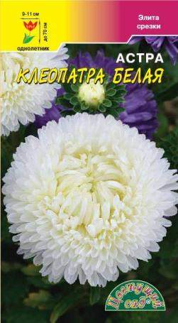 Астра Клеопатра белая (цветущий сад) 0,2 гр  – купить в г. Волгоград