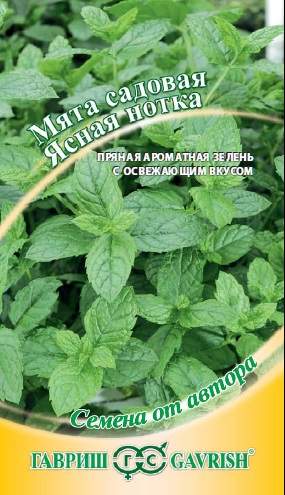 Мята Ясная нотка (гавриш) 0,05 гр  – купить в г. Волгоград