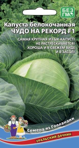 Капуста б/к Чудо на рекорд F1 (уд) 0,3гр  – купить в г. Волгоград