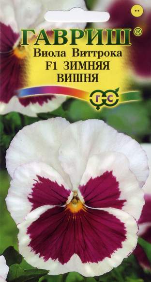 Виола Зимняя вишня (гавриш) 5 шт  – купить в г. Волгоград