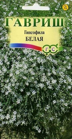 Гипсофила ползучая белая (гавриш) 0,05гр   – купить в г. Волгоград