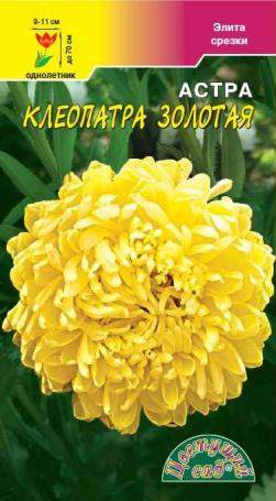 Астра Клеопатра золотая (цветущий сад) 0,2 гр  – купить в г. Волгоград