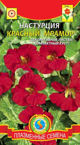 Настурция Красный мрамор (плазмас) 6шт  – купить в г. Волгоград