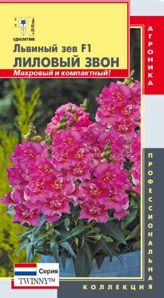 Львиный зев Лиловый звон F1 (плазмас) 10шт  – купить в г. Волгоград
