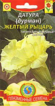 Датура Желтый рыцарь (п) 3шт