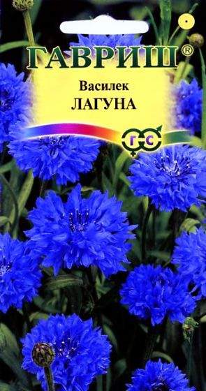 Василек Лагуна (гавриш) 0,2гр  – купить в г. Волгоград