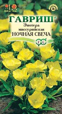 Энотера Ночная свеча (гавриш) 0,2гр  – купить в г. Волгоград