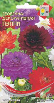 Георгина Пэппи (дом семян) 15 шт