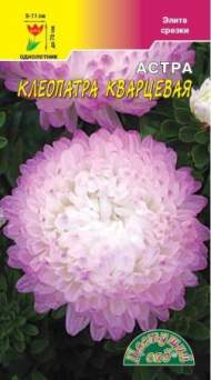 Астра Клеопатра кварцевая (цветущий сад) 0,2 гр Астра Клеопатра кварцевая (цветущий сад) 0,2 гр