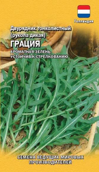 Рукола Грация (гавриш) 500 шт  – купить в г. Волгоград